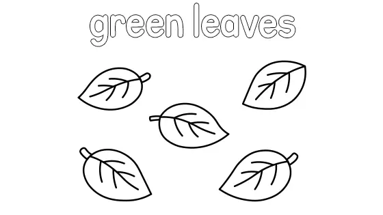 Green Leaves Coloring Page