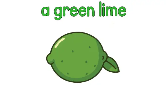 A Green Lime Coloring Page