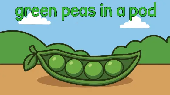 Green Peas in a Pod Coloring Page