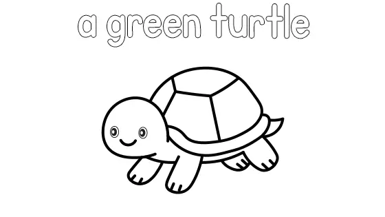 A Green Turtle Coloring Page