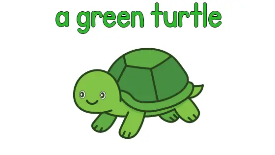 A Green Turtle Coloring Page