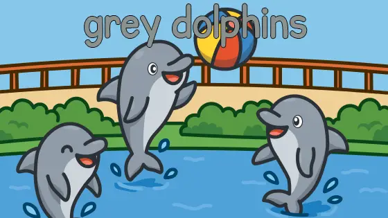 Grey Dolphins Printable