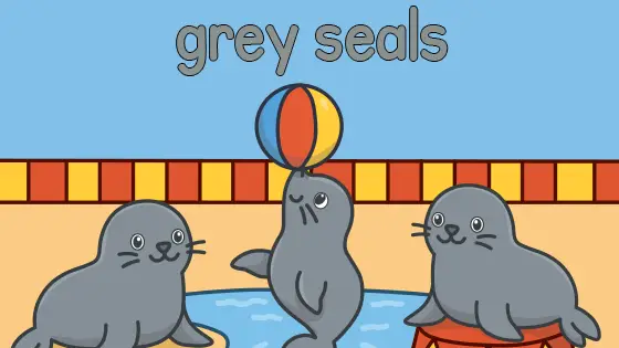 Grey Seals Printable