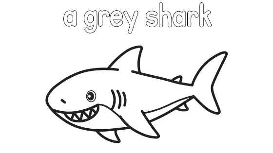 A Grey Shark Coloring Page