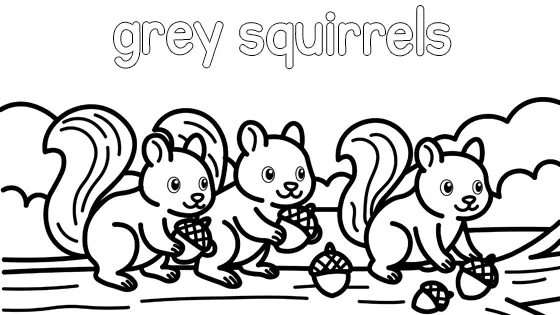 Grey Squirrels Coloring Page
