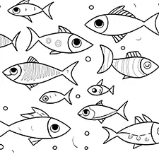 Group Of Fish Picture Black & White