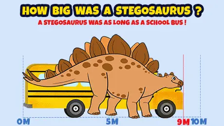 how big was a stegosaurus