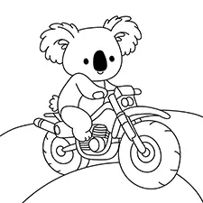 Koala Driving An Off-Road Motorcycle Coloring Page