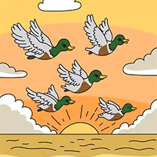 Migrating Ducks Flying At Sunset Coloring Page