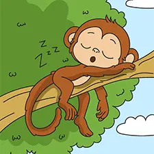 Monkey Sleeping On A Branch Coloring Page