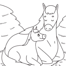 Mother Horse and Foal Colouring Page