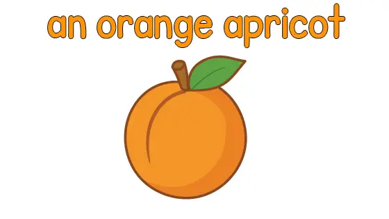 An Orange Apricot Coloring Page