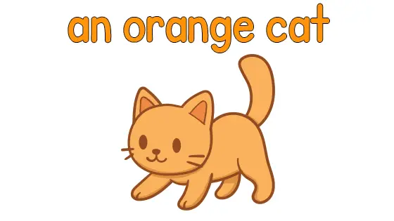 An Orange Cat Coloring Page