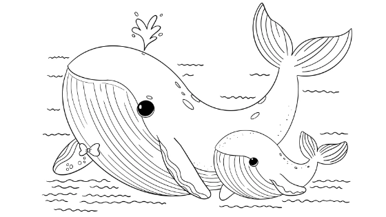 Papa Whale And Baby Whale Coloring Page