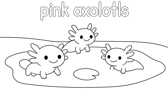 Pink Axolotls Coloring Page
