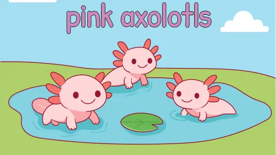 Pink Axolotls Coloring Page