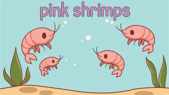 Pink Shrimps Coloring Page