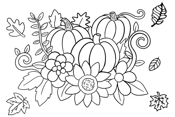 Pumpkins & Flowers Coloring Page Black & White