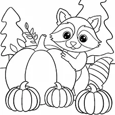 Raccoon In A Pumpkin Patch Coloring Page Black & White