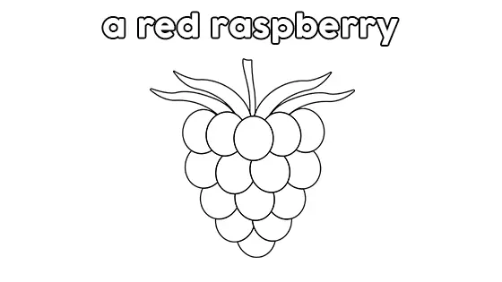 A Red Raspberry Coloring Pages Free PDF Download Black & White