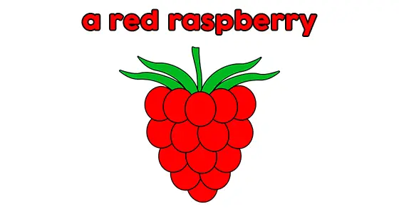 A Red Raspberry Coloring Pages Free PDF Download Color
