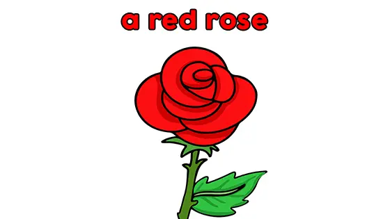 A Red Rose Coloring Pages Free PDF Download Color