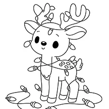 Reindeer Tangled In Christmas Lights Coloring Page