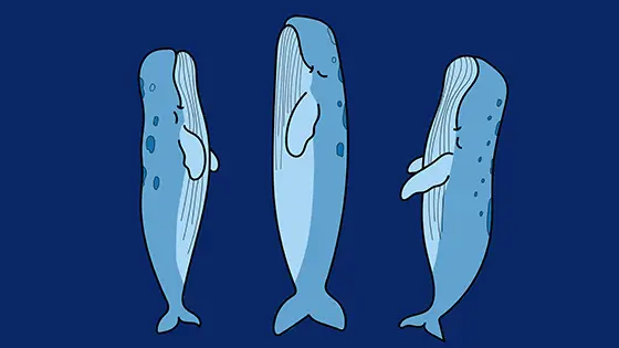 Sperm Whales Sleeping Printable