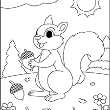 Squirrel Gathering Acorns Coloring Page