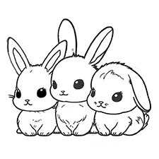bap bunny colors