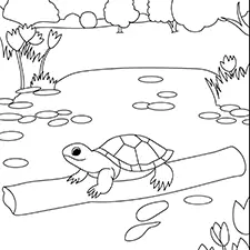 Turtle On A Log Coloring Page