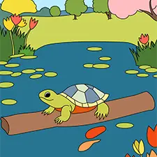 Turtle On A Log Picture