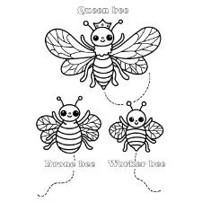 Types of Bees Coloring Page