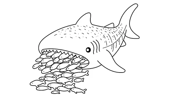 Whale Shark Eating Fish Coloring Page