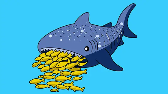 Whale Shark Eating Fish Printable