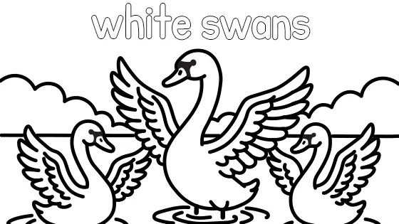 White Swans Coloring Page