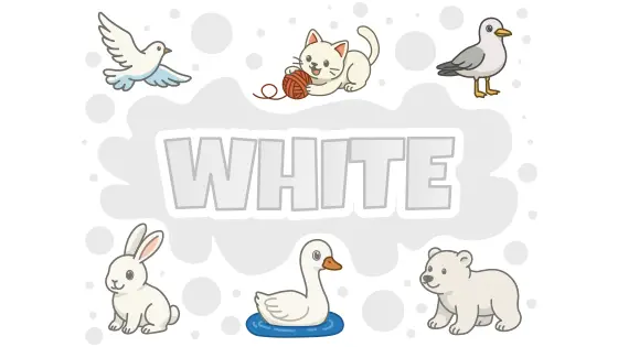 White things in nature Printable