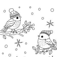 Winter Birds Coloring Page