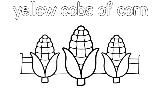 Yellow Cobs of Corn Coloring Page