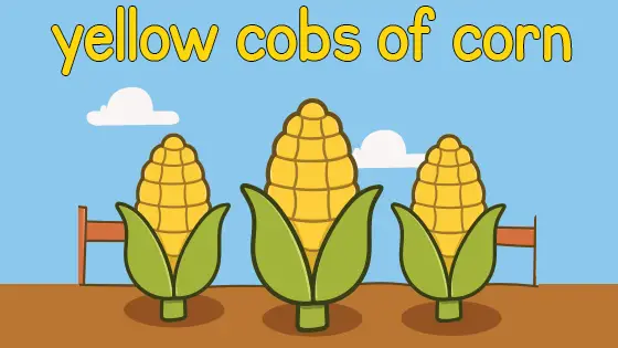Yellow Cobs of Corn Coloring Page